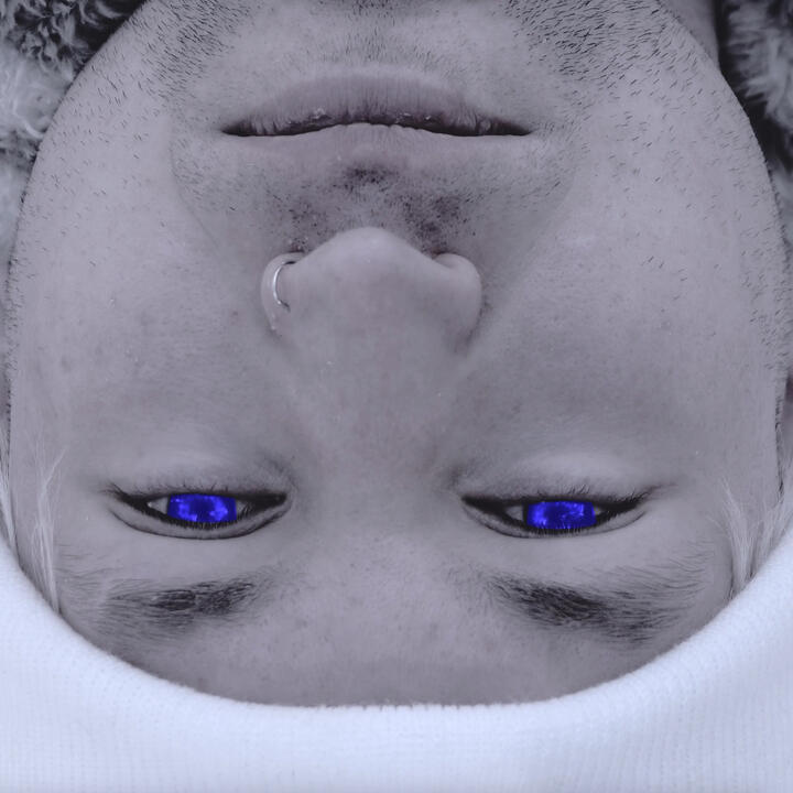 Defrosted Poster Defrosted Poster